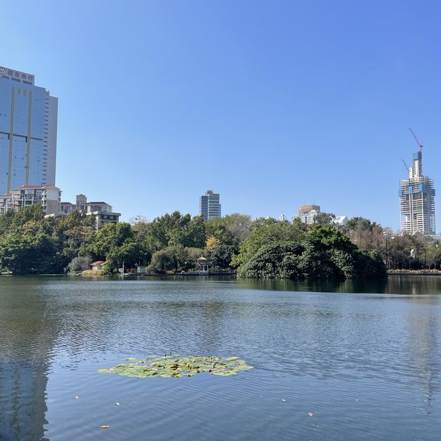  A stunning park in the heart of Shenzhen