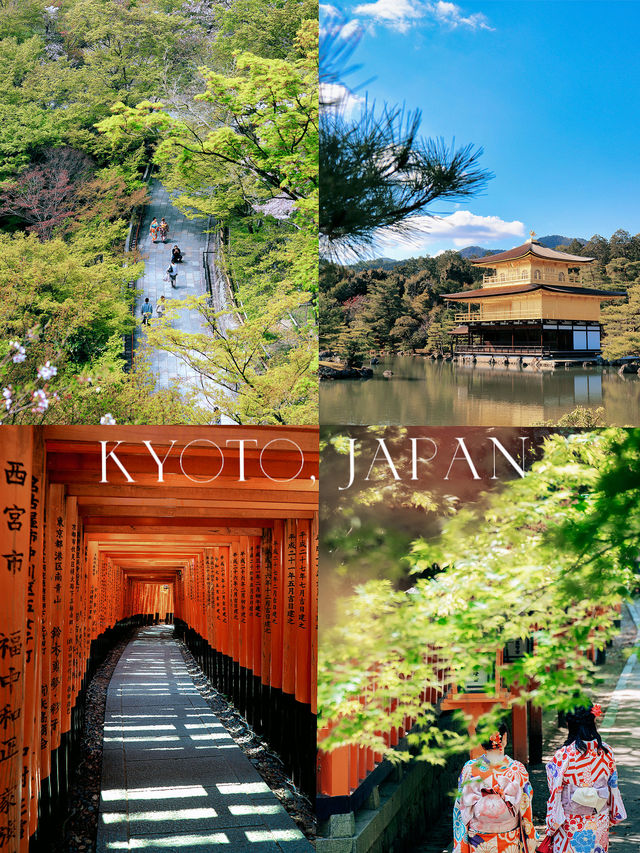 Itinerary: If You Only Have One Day in Kyoto