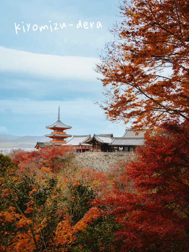 Where to Catch Kyoto's Red Maple Season in 2023?