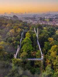 Walking on 🌳 FOREST SKYWALK 🌳