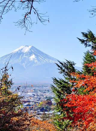Tour around Mount Fuji
