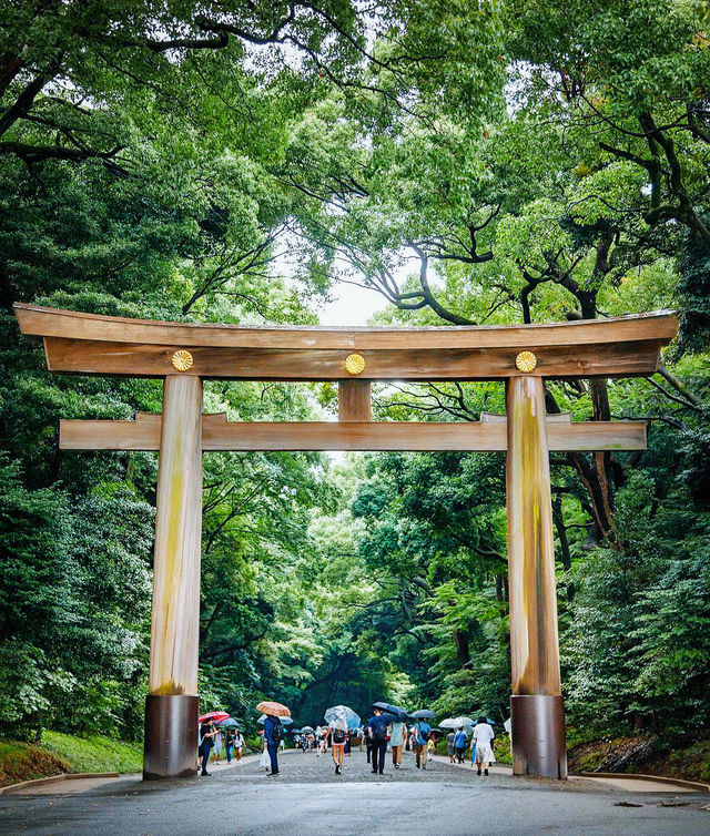 Uncover the Spiritual Essence of Meiji Shrine