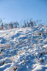 東北滑雪｜這就是童話裡的冰雪森林吧