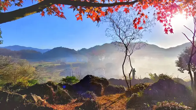 Shicheng Red Leaves in Wuyuan County