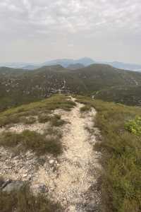 八仙嶺x黃嶺x屏風山．樓梯大挑戰