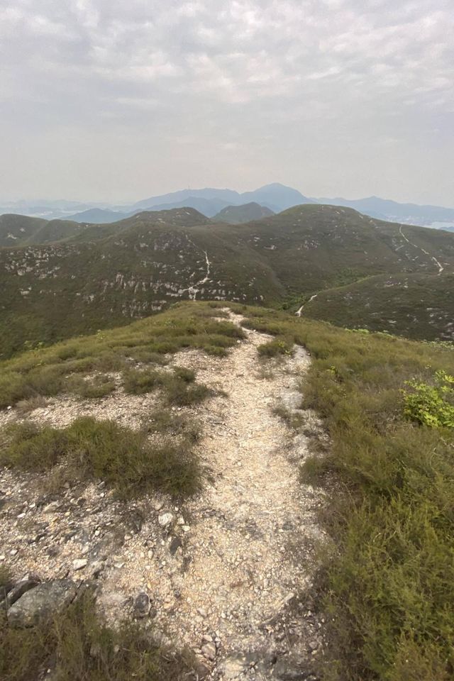 八仙嶺x黃嶺x屏風山．樓梯大挑戰