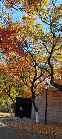 青島八大關異國建築群在色彩斑斕的閃爍下更加奪目迷人