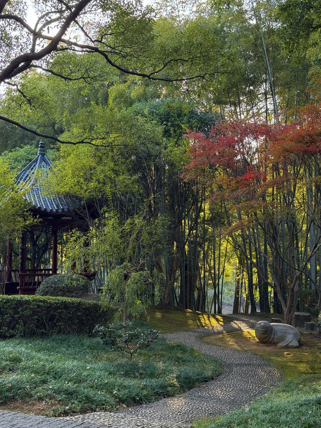 我說這裡是岳陽最美公園，應該沒人反駁吧
