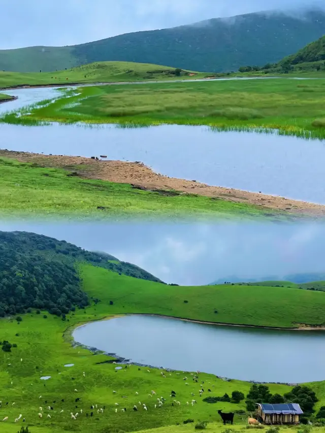 Green grass, flock of sheep, lake, blue sky, fluffy white clouds