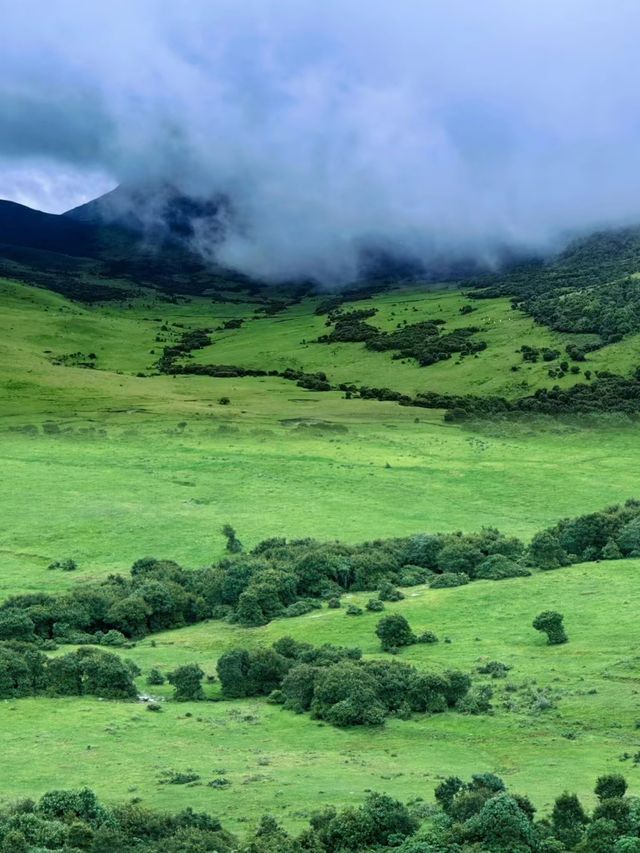 綠草、羊群、湖泊、藍天、白雲綿綿