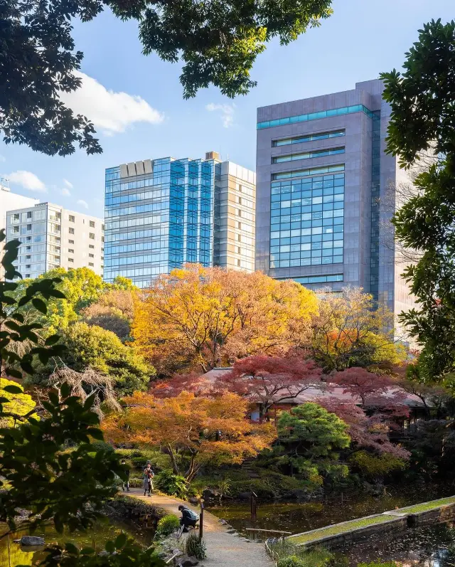 🌸 小石川後楽園を探索する 🌳