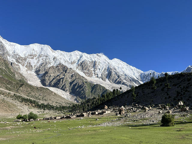 被巴基斯坦徒步治愈｜Nanga Parbat