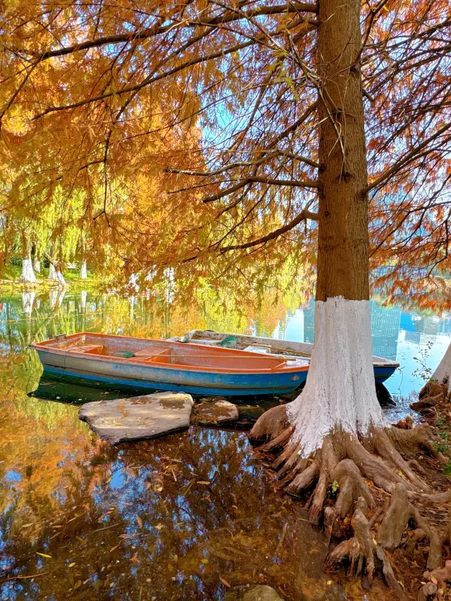 歡迎走進秋天的油畫世界-寧波鄞州公園