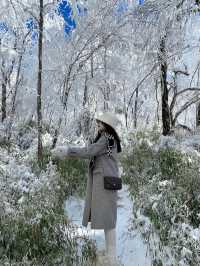 成都出發三小時看雪｜一起去雪山上喝咖啡吧|||