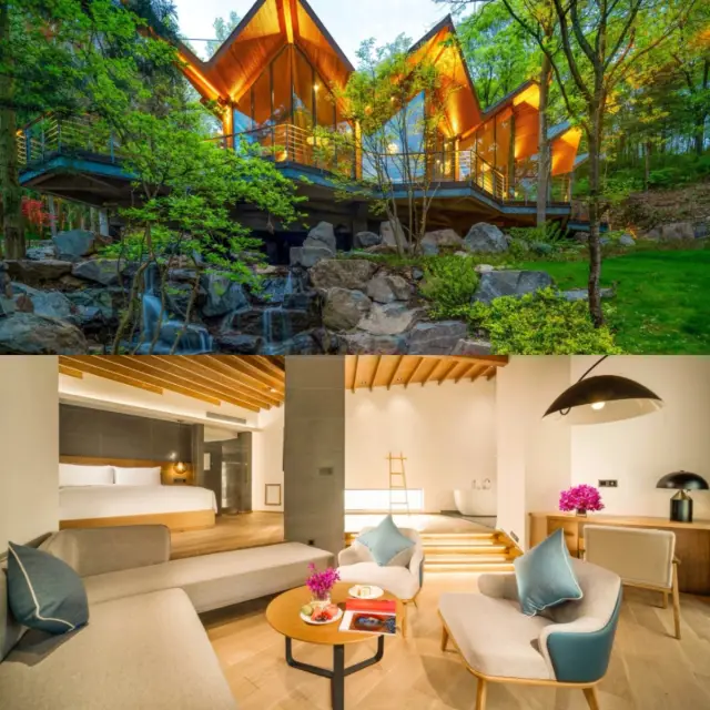 네트워크 레드 호텔은 녹색 숲에 위치한 공중 나무집에 지어졌습니다