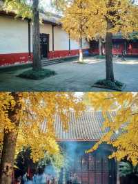 四川旅遊｜成都必打卡 老牌祈福聖地-文殊院