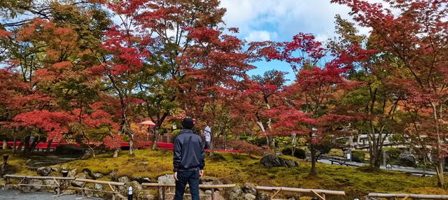 尋找紅葉的旅程 | 京都永觀堂