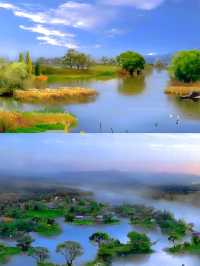 北京野鴨湖濕地公園