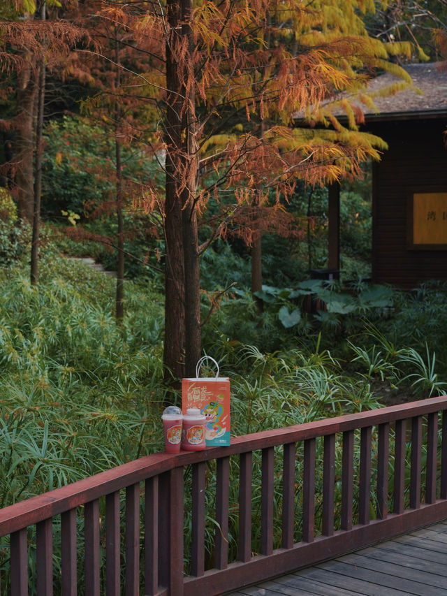 廣州Citywalk｜漫步在油畫般的童話森林，美暈