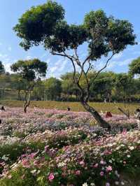 深圳西麗生態公園｜戶外溜孩子好去處