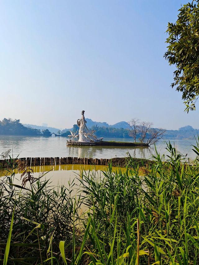 肇慶端州｜星湖濕地公園｜大自然美得不像話