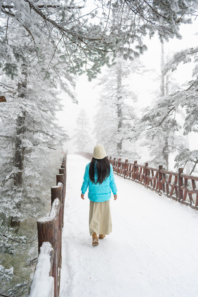 瓦屋山！我願稱之為川內1天往返玩雪天花板！