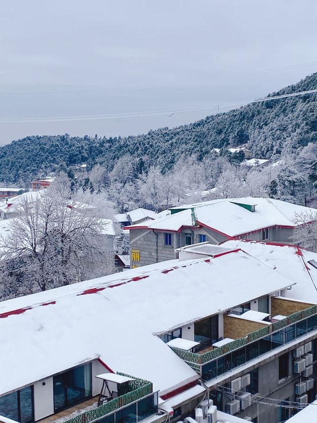 庐山冬日看雪