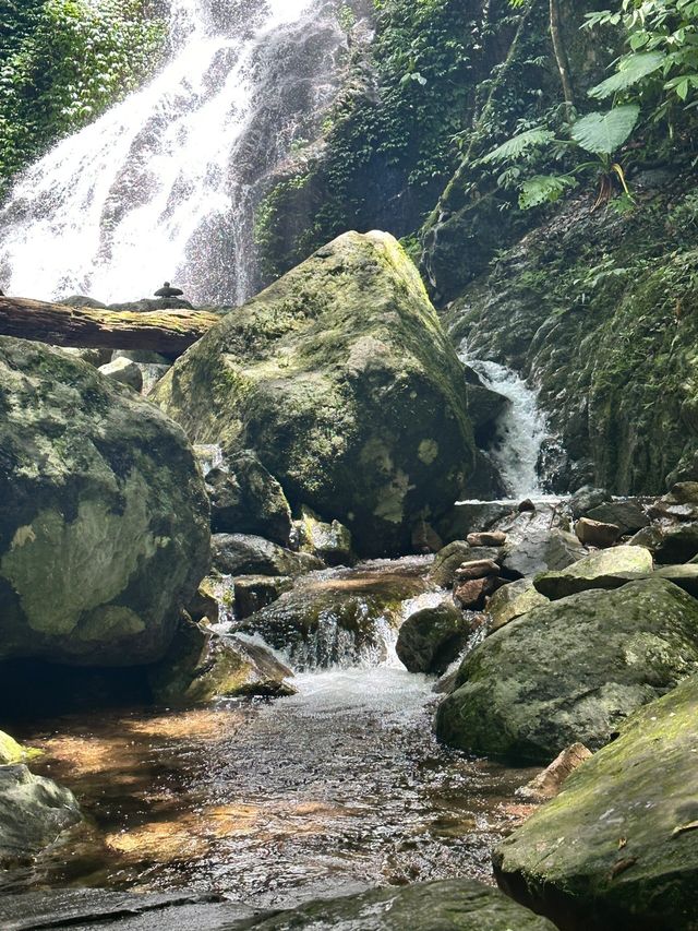 海南五指山熱帶雨林愛麗絲夢遊仙境