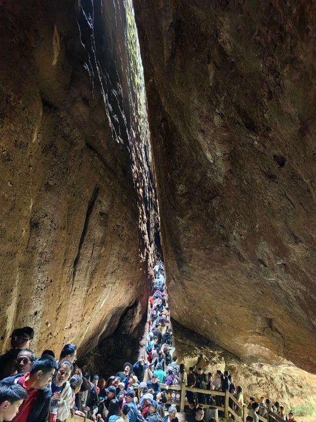 武夷山風景名勝區（三日遊）