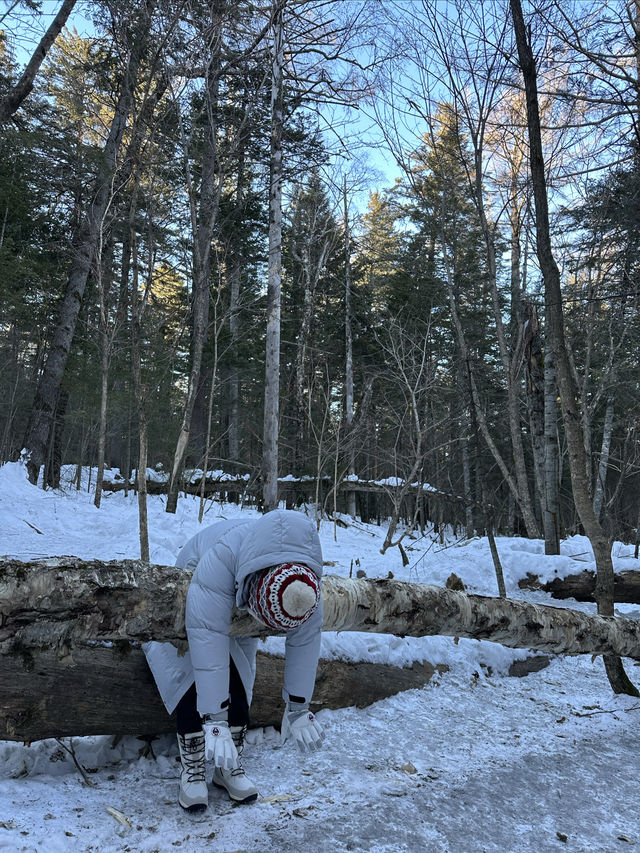 長白山北坡景區-體驗一回冰碴子打臉