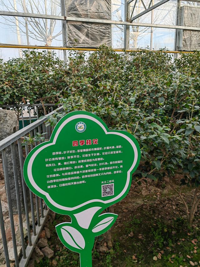 隱藏在小縣城的超大兒童田園綜合體，性價比感人！