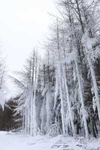 巴山湫池·冰雪大世界等你來遊玩嬉戲打卡
