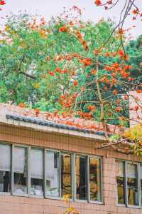 廣州拍照·離開廣州前一定要去一次陵園西路！