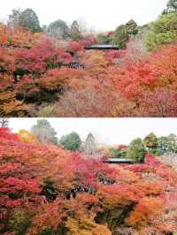 人生建議：一定要來京都，看一場紅葉狩