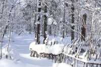 與雪來了一場浪漫的邂逅～｜幸福地在雪裡打滾