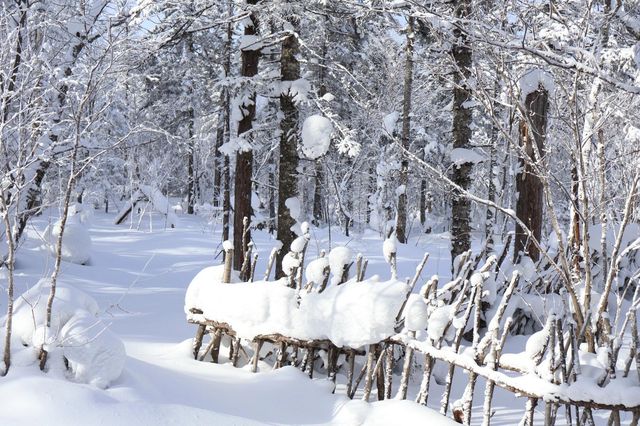 與雪來了一場浪漫的邂逅～｜幸福地在雪裡打滾