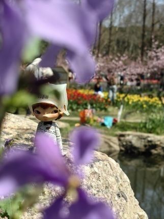 踏春南京中山植物園