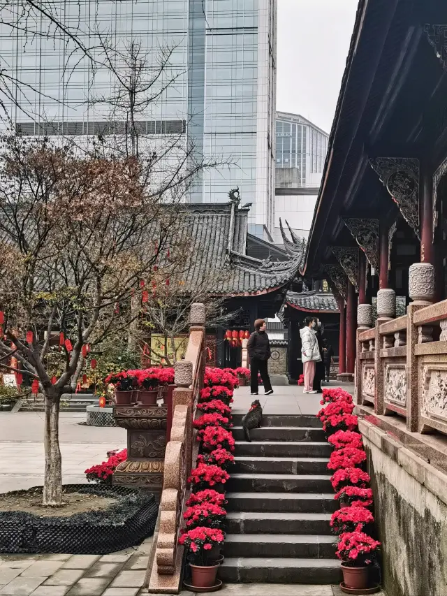 The Grand Ci'en Temple at nine o'clock on a weekend: a serene and beautiful encounter