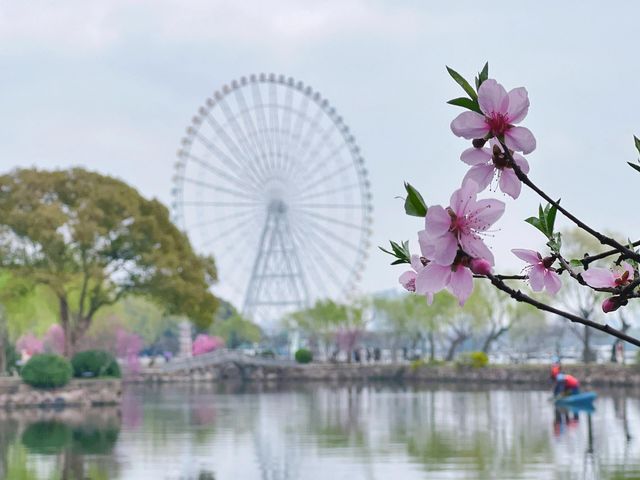 在無錫蠡園旅遊，拍到了人生照片