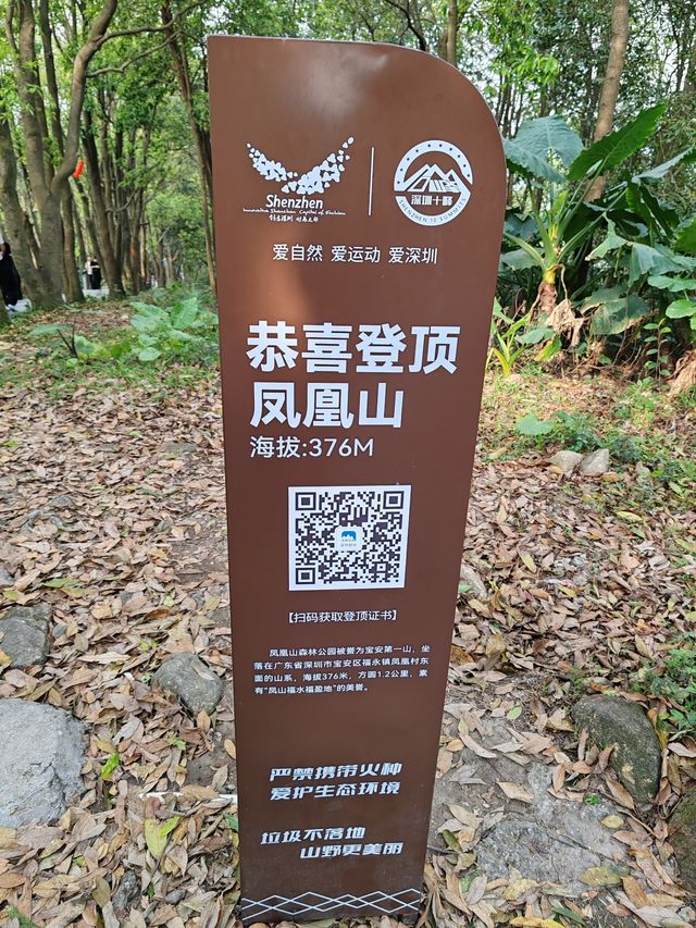 攀登深圳十峰之一的鳳凰山