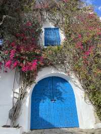 突尼斯地中海藍白小鎮