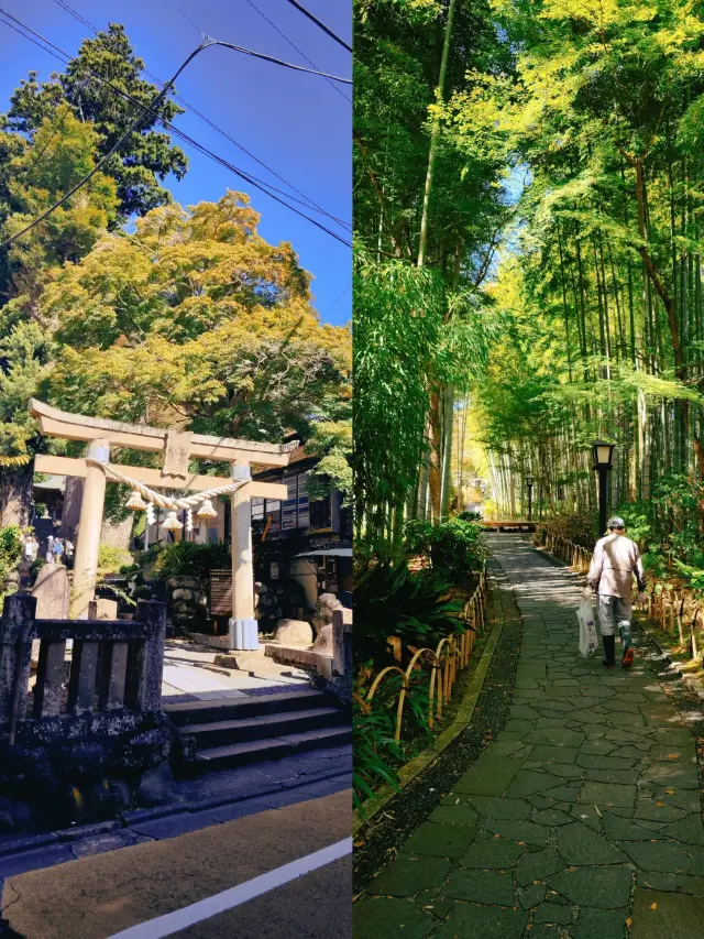 Izu Shuzenji Onsen Trip: The Hidden Treasure of Kikuya's Soup Corridor