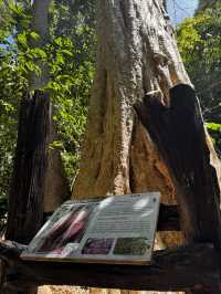 兰塔國家公園，值不值得去？