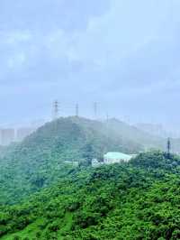 七月·求水山公園