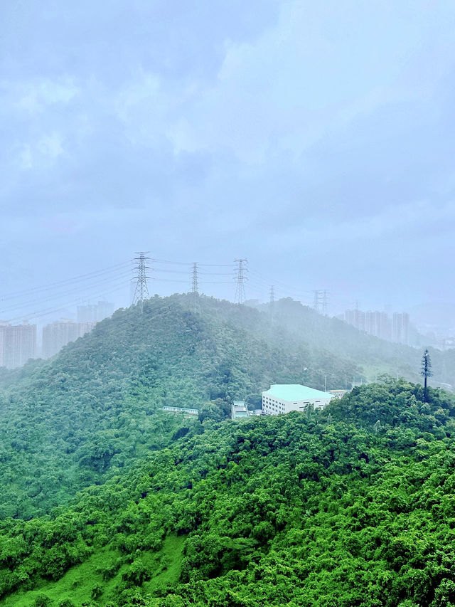 七月·求水山公園