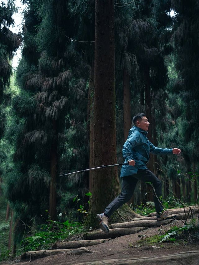 每週一山｜成都周邊中壩森林徒步一天