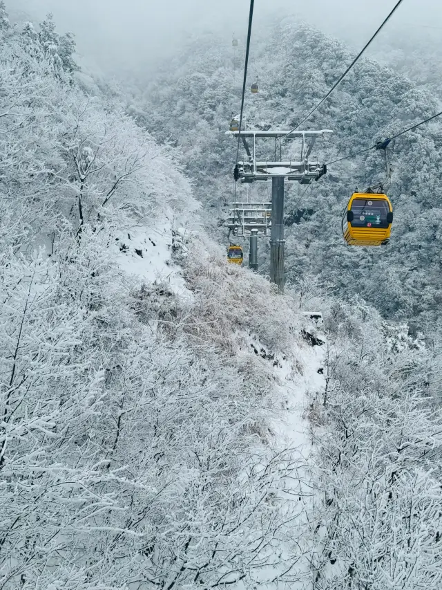 Why go to work when you can go see the snow scenery at Wugong Mountain instead?