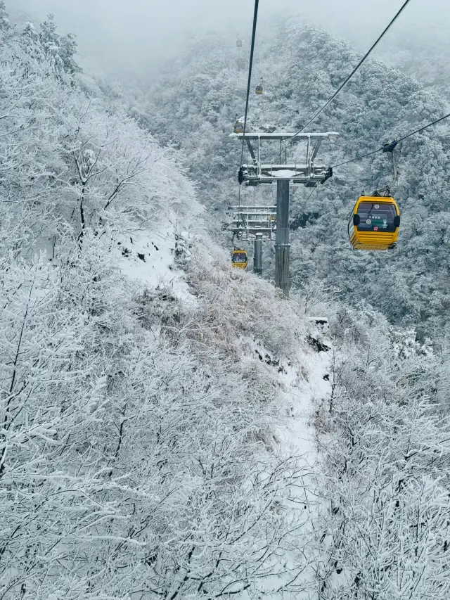 何のクラスも受けずに、直接武功山の雪景色を見に行きましょう