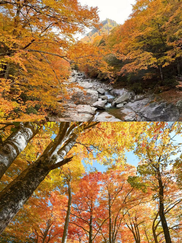 光霧山，帶你領略秋天的萬種風情