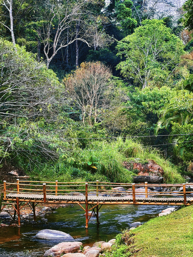 難忘的清邁旅行，一定給寶寶體驗一晚睡在山裡的露營啊